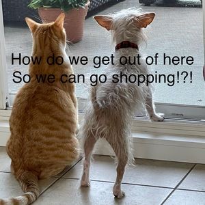 Why buy store!❤️💕. Happy shopping.